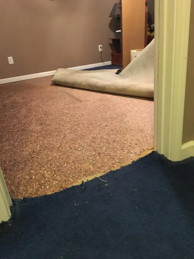 Carpet pad removal revealing water damage during Water Mitigation Services in Middlesborough