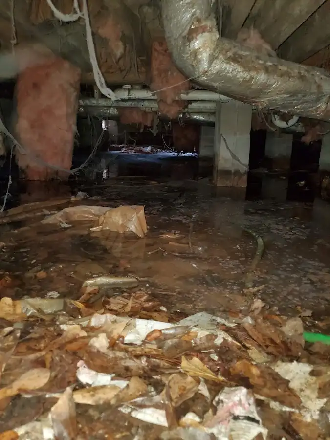 Crawl space flood assessment for Leak Detection & Repair in Middlesborough